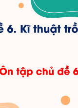 CN Trồng trọt - Ôn tập chủ đề 6. Kĩ thuật trồng trọt
